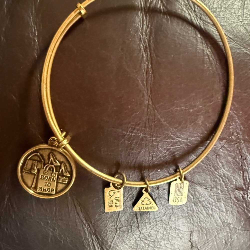 Alex and Ani Gold Charm Bracelet